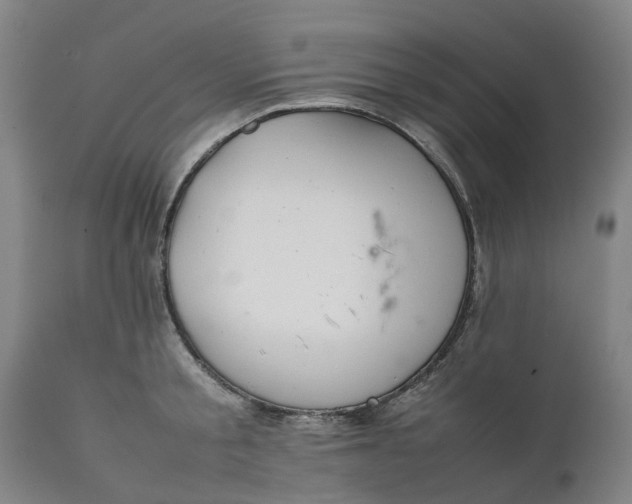 X0000111630805200907311226