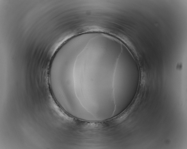 X0000111630806200907311226