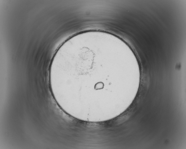 X0000111630807200907311226