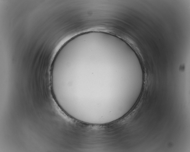 X0000111630808200907311225