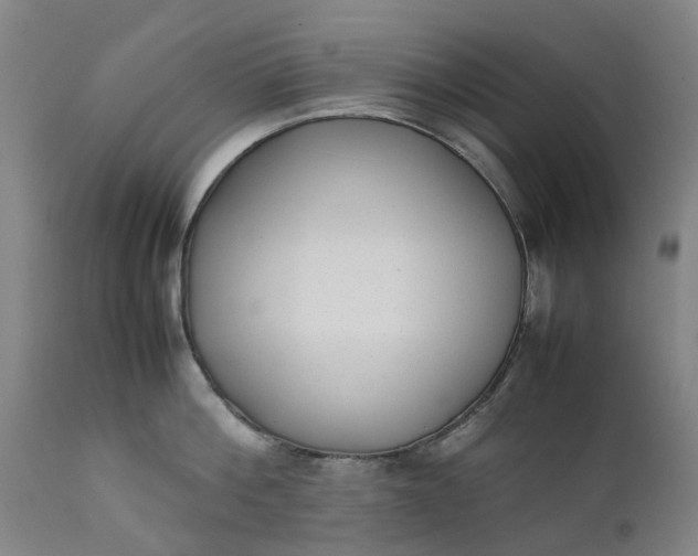 X0000111630812200907311225