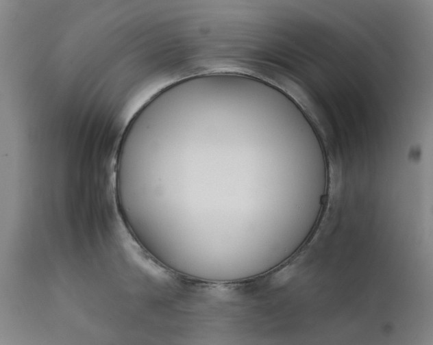 X0000111630814200907311225