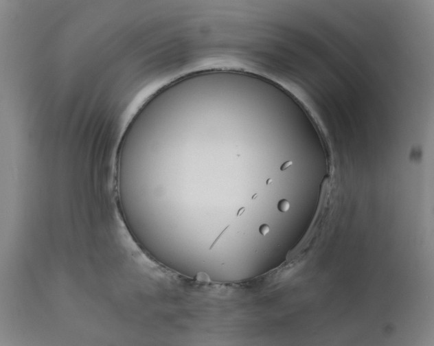 X0000111630815200907311225