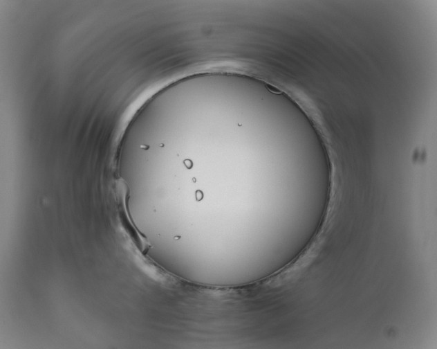 X0000111630816200907311225