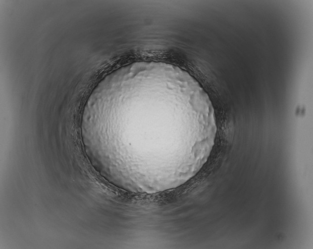 X0000111630817200907311224