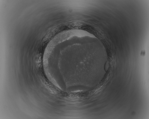 X0000111630818200907311224