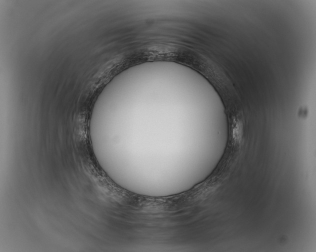 X0000111630819200907311224