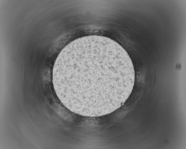 X0000111630820200907311225