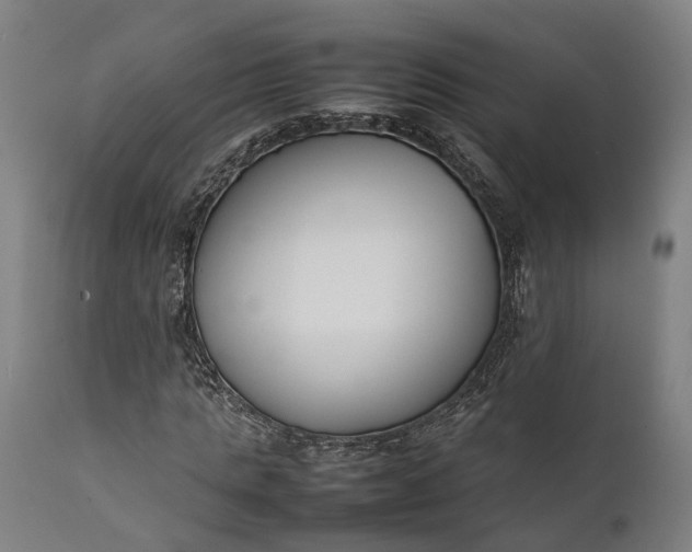 X0000111630821200907311225