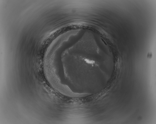 X0000111630822200907311225