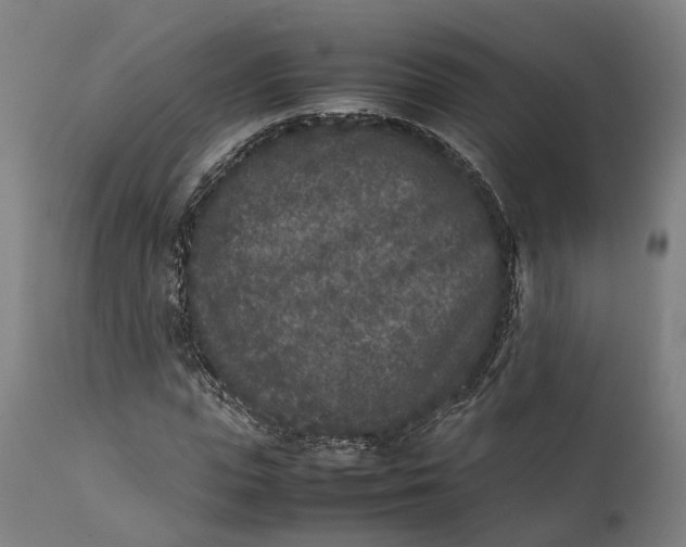 X0000111630823200907311225