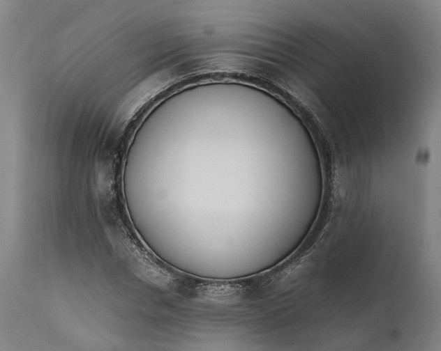 X0000111630826200907311225