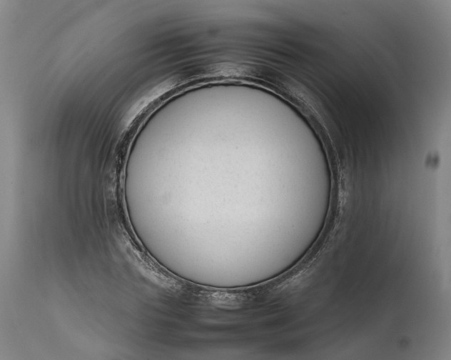 X0000111630827200907311225