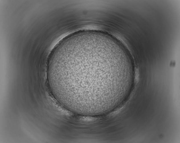 X0000111630829200907311225