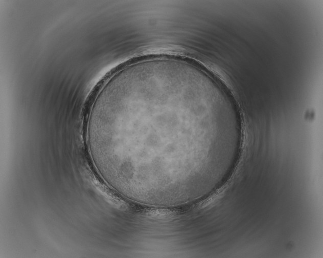 X0000111630830200907311225