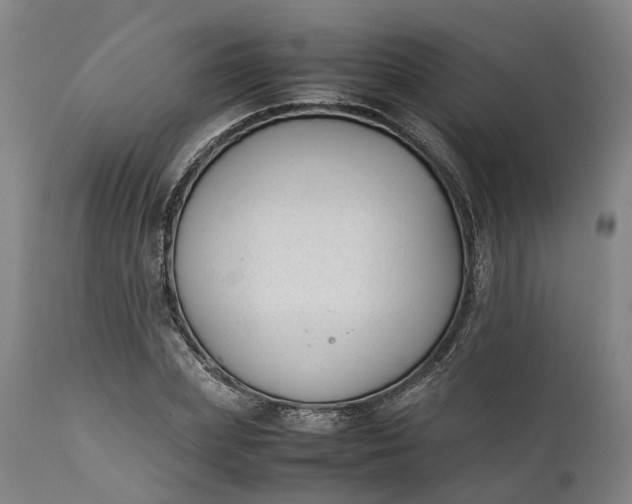 X0000111630831200907311225