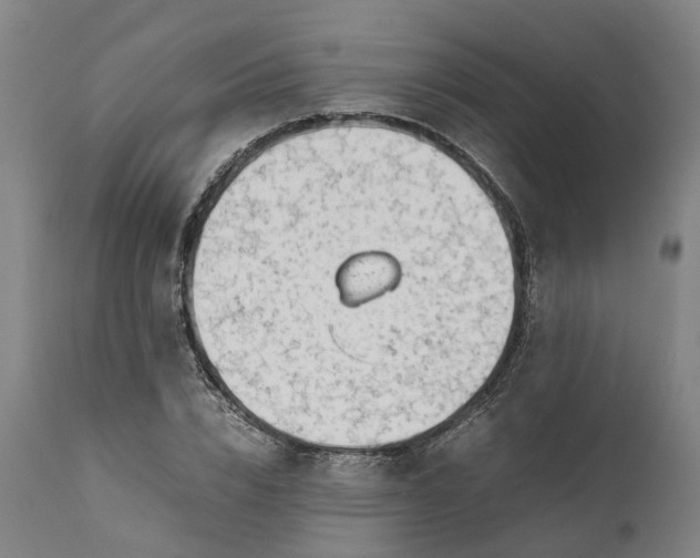 X0000111630832200907311225