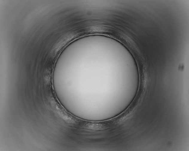 X0000111630833200907311225