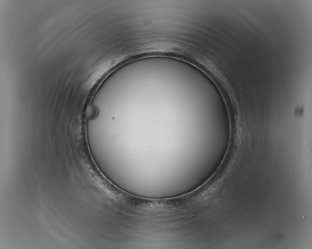 X0000111630834200907311225