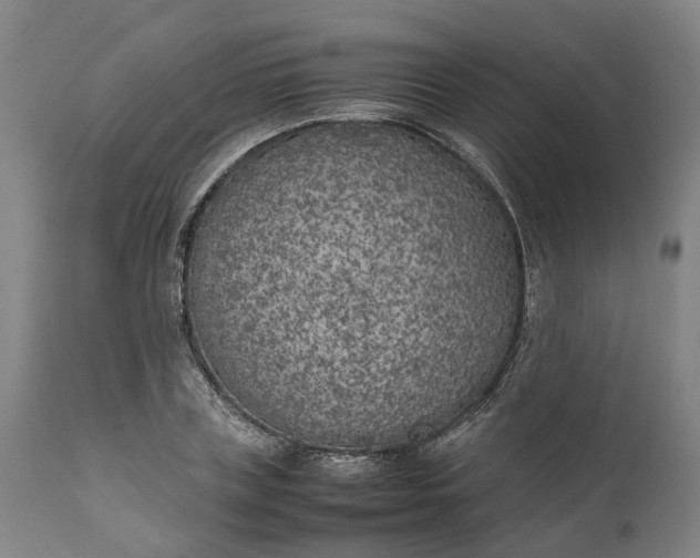 X0000111630835200907311225