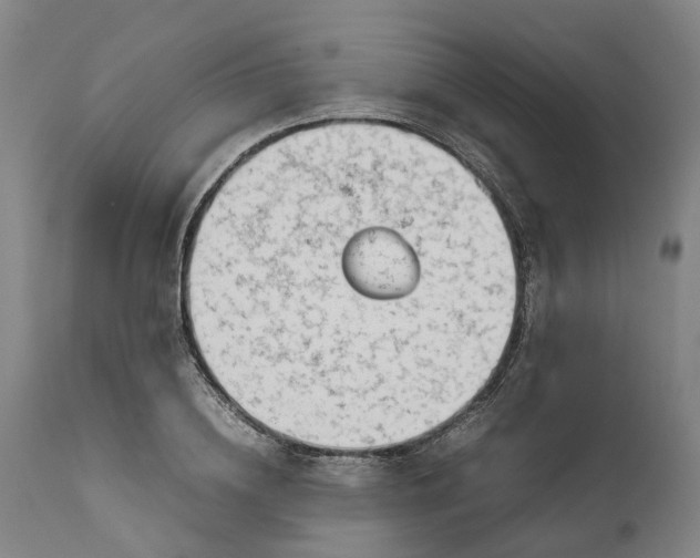 X0000111630836200907311225