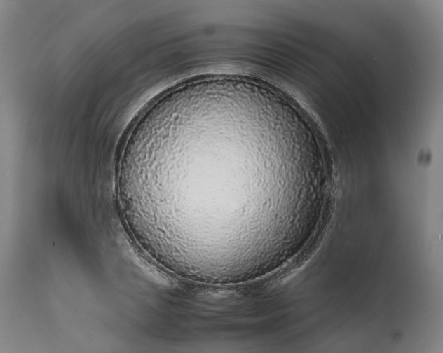 X0000111630837200907311225