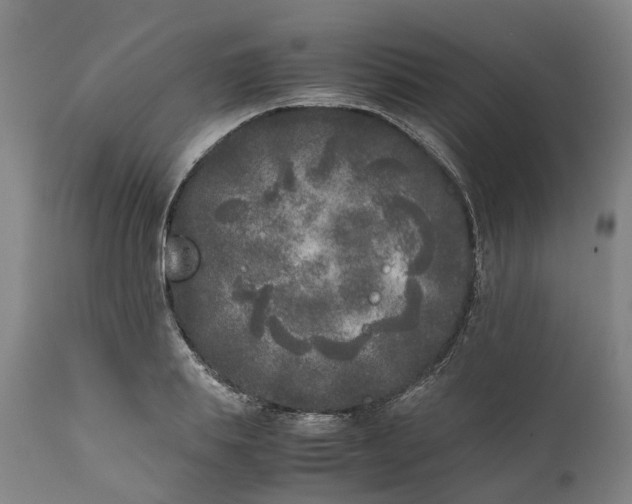 X0000111630839200907311225