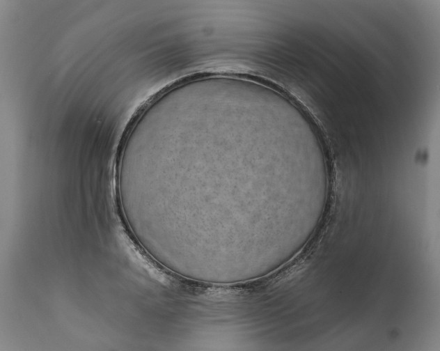 X0000111630840200907311225