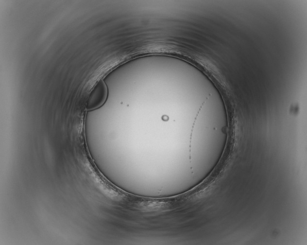 X0000111630841200907311225