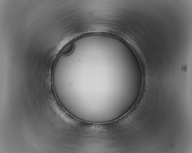 X0000111630842200907311225