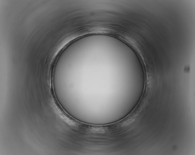 X0000111630843200907311225