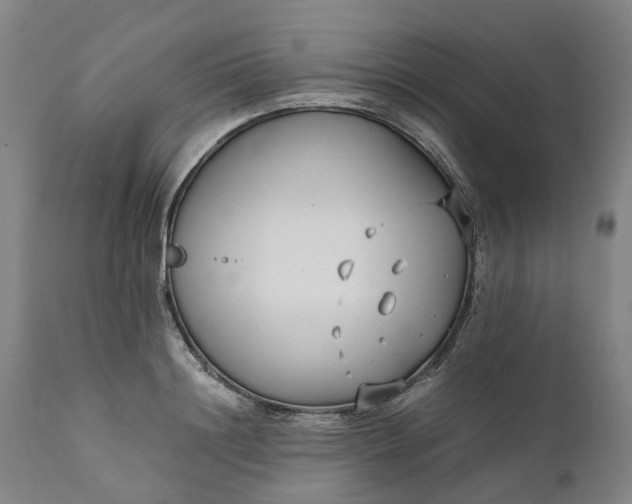 X0000111630844200907311225