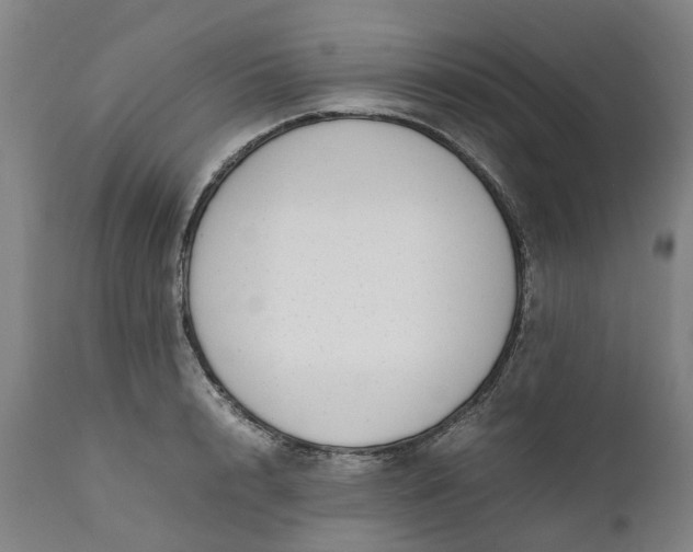 X0000111630848200907311225