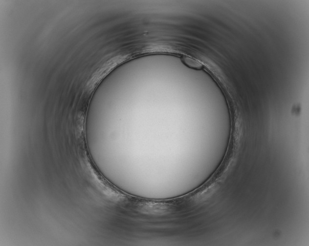 X0000111630849200907311225