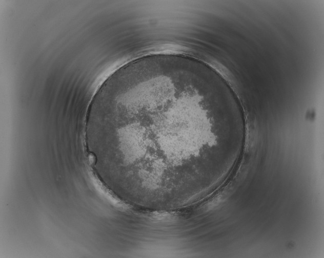 X0000111630850200907311225