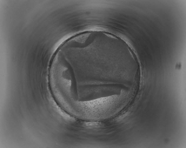 X0000111630853200907311225