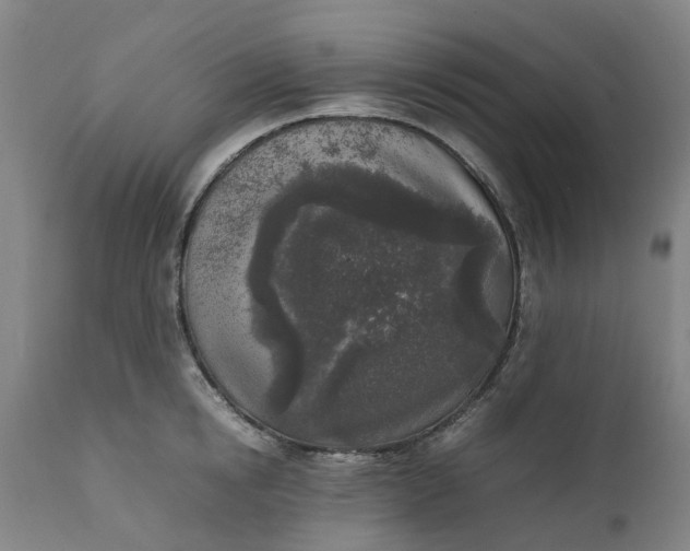 X0000111630854200907311225