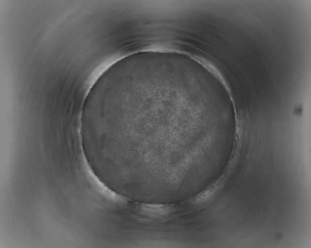 X0000111630855200907311225