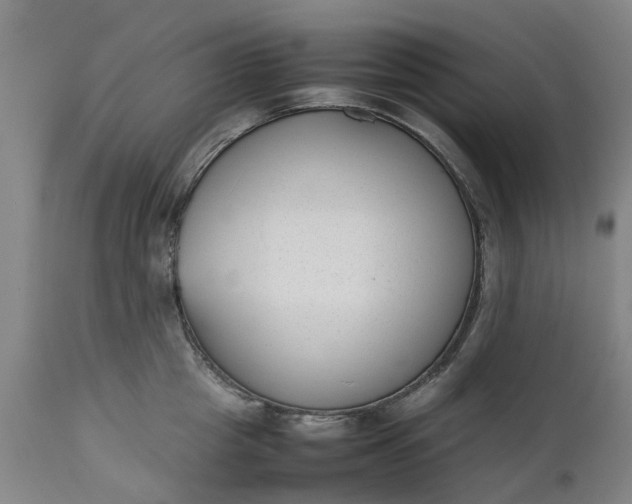 X0000111630857200907311225