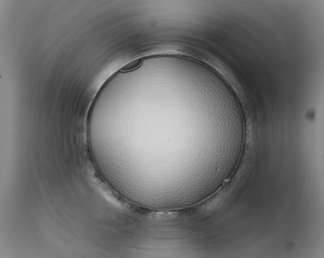 X0000111630858200907311225