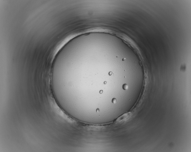 X0000111630860200907311225