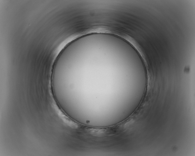 X0000111630861200907311225