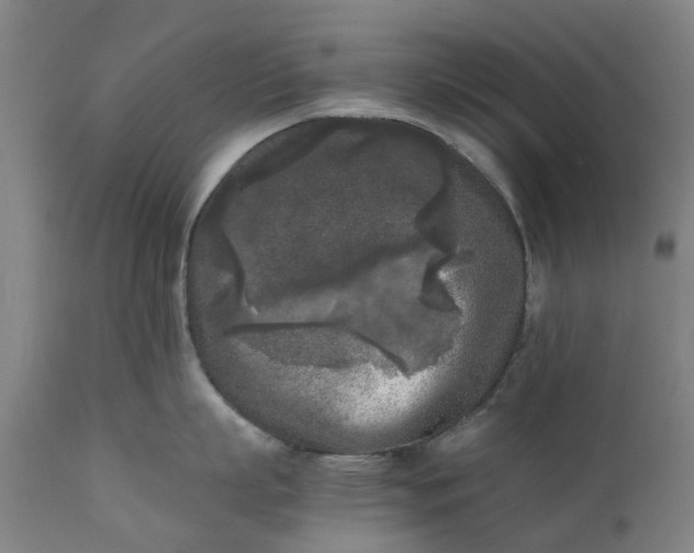 X0000111630863200907311225