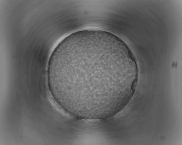 X0000111630864200907311225