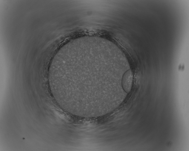 X0000111630865200907311224