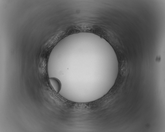 X0000111630866200907311224