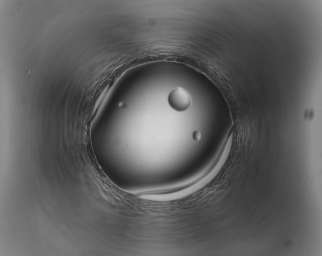 X0000111630868200907311224