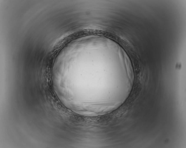 X0000111630870200907311224