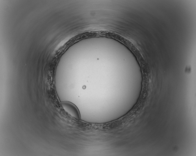 X0000111630871200907311224