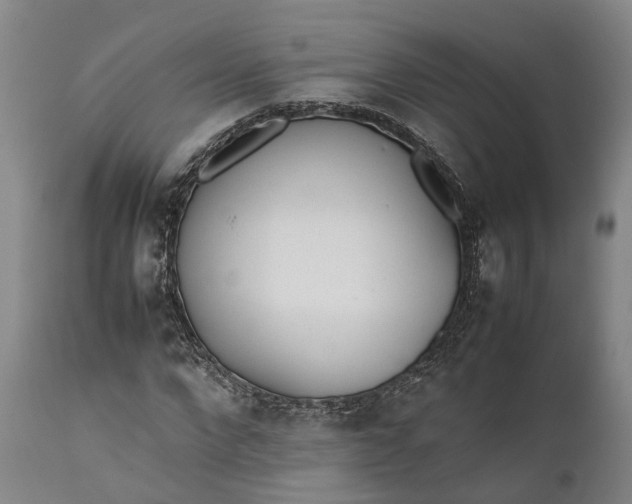 X0000111630872200907311224